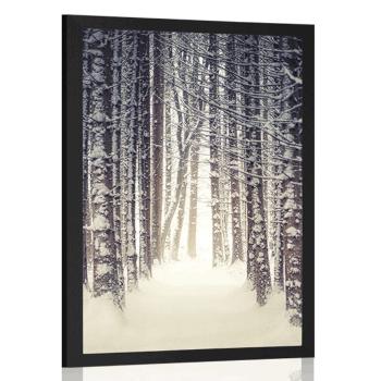 Plakat las pokryty śniegiem