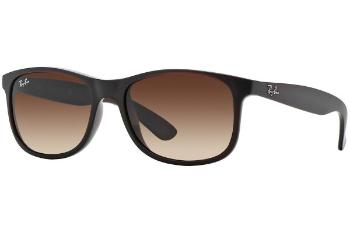 Ray-Ban Andy RB4202 607313 ONE SIZE (55)