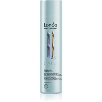 Londa Professional Calm delikatny szampon do skóry wrażliwej 250 ml