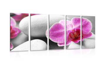 5-częściowy obraz kwiaty orchidei na białych kamieniach - 100x50
