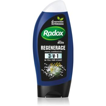 Radox Men Fresh żel i szampon pod prysznic 2 w 1 dla mężczyzn 250 ml