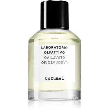 Laboratorio Olfattivo Cozumel woda perfumowana dla mężczyzn 100 ml