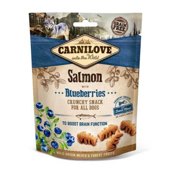 CARNILOVE dog  SALMON/blueberries - 200g