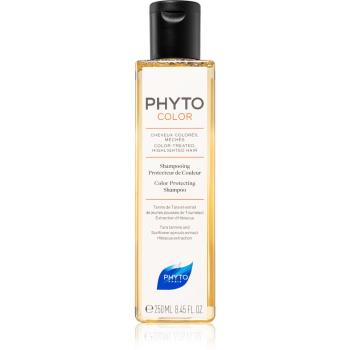 Phyto Color Protecting Shampoo szampon do ochrony koloru do włosów farbowanych i po balejażu 250 ml