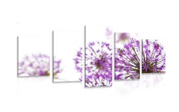 5-częściowy obraz kwitnące fioletowe kwiaty czosnku - 200x100