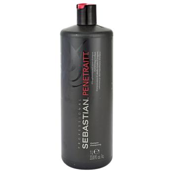 Sebastian Professional Penetraitt szampon do włosów zniszczonych zabiegami chemicznymi 1000 ml