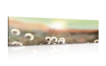Obraz panorama kwitnącej łąki - 150x50