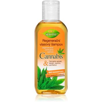 Bione Cosmetics Cannabis szampon regenerujący 80 ml
