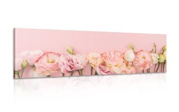 Obraz pastelowe kwitnące kwiaty - 120x40