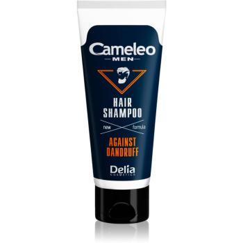 Delia Cosmetics Cameleo Men szampon przeciwłupieżowy dla mężczyzn 150 ml