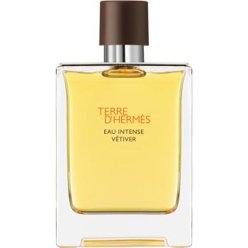 HERMÈS Terre d’Hermès Eau Intense Vétiver woda perfumowana dla mężczyzn 100 ml