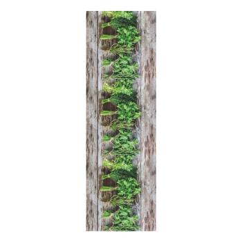 Brązowo-zielony chodnik Floorita Aromatica, 58x115 cm