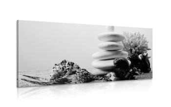 Obraz kamienie Zen z muszlami w wersji czarno-białej