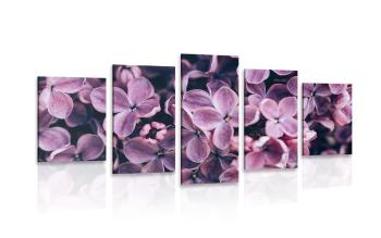 5-częściowy obraz fioletowe kwiaty bzu - 200x100