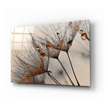 Szklany obraz Insigne Cinnamon Dandelion, 72x46 cm