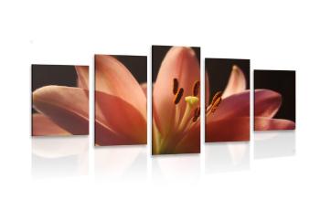 5-częściowy obraz piękna różowa lilia na czarnym tle - 100x50
