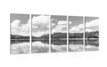 5-częściowy obraz natura w lecie w wersji czarno-białej - 100x50