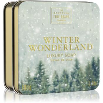 Scottish Fine Soaps Winter Wonderland Luxury Soap luksusowe mydło w kostce w puszcze Cinnamon, Dried Fruits & Vanilla 100 g