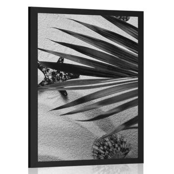 Plakat muszle pod liśćmi palmowymi w czarno-białym wzorze - 40x60 white