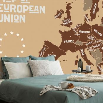 Samoprzylepna tapeta brązowa mapa z nazwami krajów UE - 375x250
