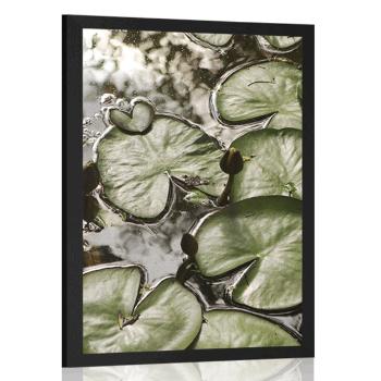 Plakat lilie wodne w ogrodzie - 20x30 white