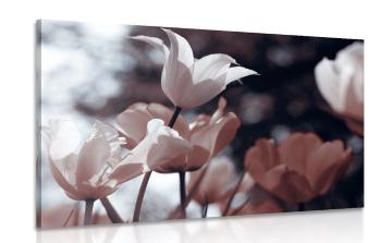 Obraz wiosenne tulipany w parku - 90x60