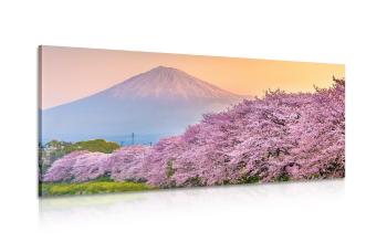 Obraz piękna Japonia - 100x50