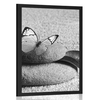 Plakat motyl na kamieniu Zen w czerni i bieli - 30x45 silver