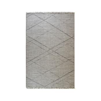 Szary dywan odpowiedni na zewnątrz Floorita Les Gipsy, 194x290 cm