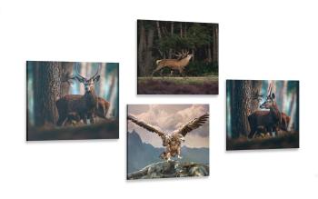 Zestaw obrazów piękno zwierząt leśnych - 4x 60x60