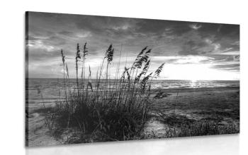 Obraz zachód słońca na plaży w wersji czarno-białej - 60x40