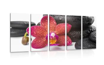 5-częściowy obraz orchidea i kamienie Zen na białym tle