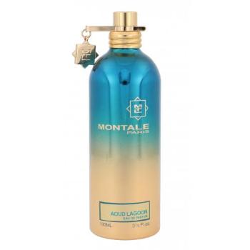 Montale Aoud Lagoon 100 ml woda perfumowana unisex