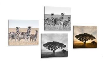 Zestaw obrazów zwierzęta żyjące na Sawannie - 4x 60x60