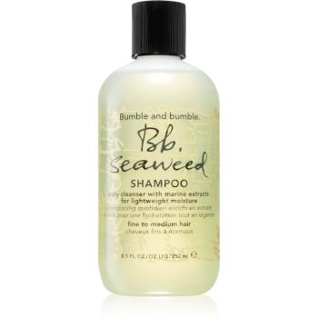 Bumble and bumble Seaweed Shampoo szampon do codziennego stosowania 250 ml