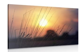 Obraz wschód słońca na łące - 120x80