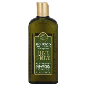 Erbario Toscano Elisir D'Olivo szampon do włosów z olejem z oliwek 250 ml