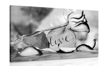 Obraz romantyczne wyznanie w wersji czarno-białej Love - 60x40