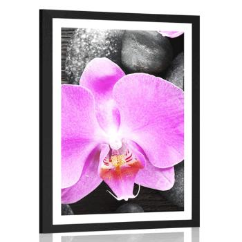 Plakat z passe-partout cudowna orchidea i kamienie - 30x45 silver
