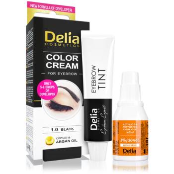 Delia Cosmetics Argan Oil farbka do brwi odcień 1.0 Black 15 ml
