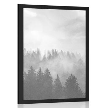 Plakat mgła nad lasem  w czerni i bieli - 60x90 silver