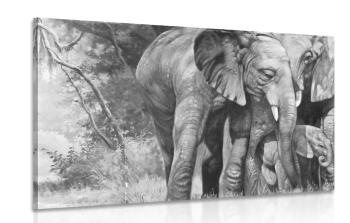 Obraz rodzina słoni w wersji czarno-białej - 120x80