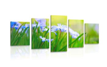 5-częściowy obraz kwiaty na łące wiosną - 100x50