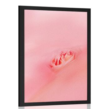 Plakat w różowym uścisku - 30x45 white