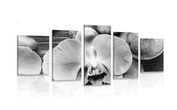 5-częściowy obraz piękna orchidea i kamienie w czarnobiałym kolorze