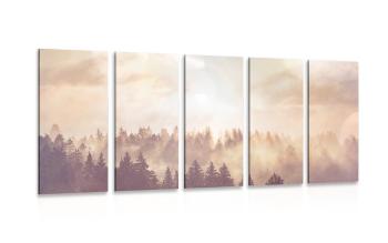 5-częściowy obraz mglisty las - 100x50