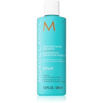 Moroccanoil Repair szampon do włosów zniszczonych zabiegami chemicznymi 250 ml
