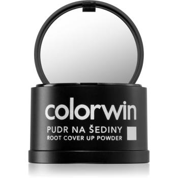 Colorwin Powder puder do włosów do objętości i maskowania siwizny odcień Black 3,2 g