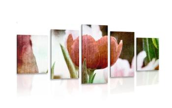 5-częściowy obraz łąka tulipanów w stylu retro