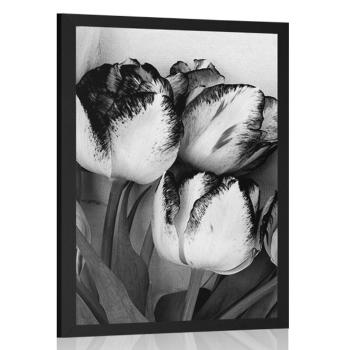 Plakat wiosenne tulipany w czerni i bieli - 30x45 white